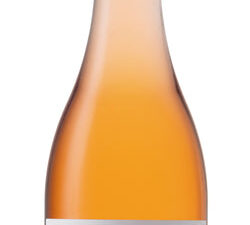 Poetry Cinsault Rose 2025